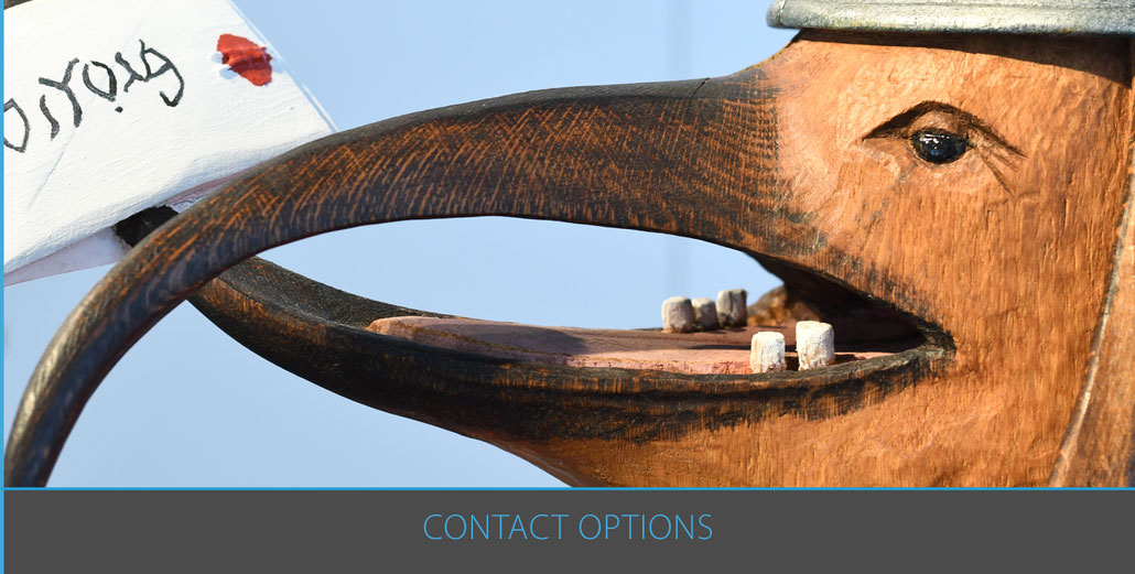 Area "contact options". The picture shows a sculpture with a message.