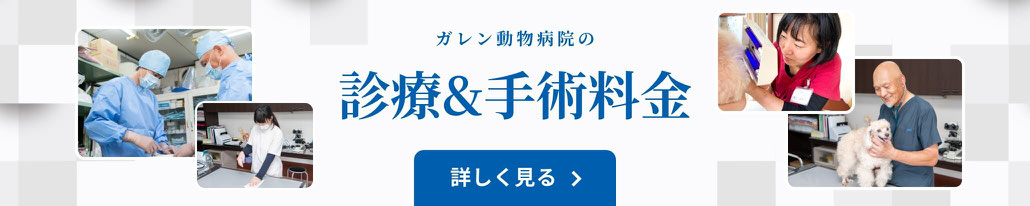 診療＆手術料金