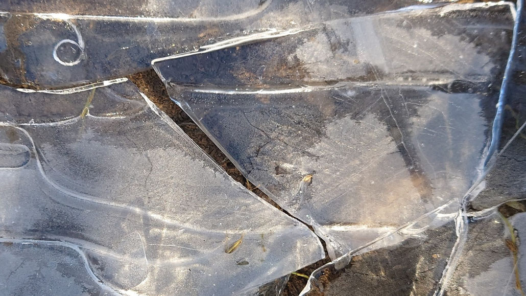 Tod in Corona-Zeiten - Gebrochene Eisfläche