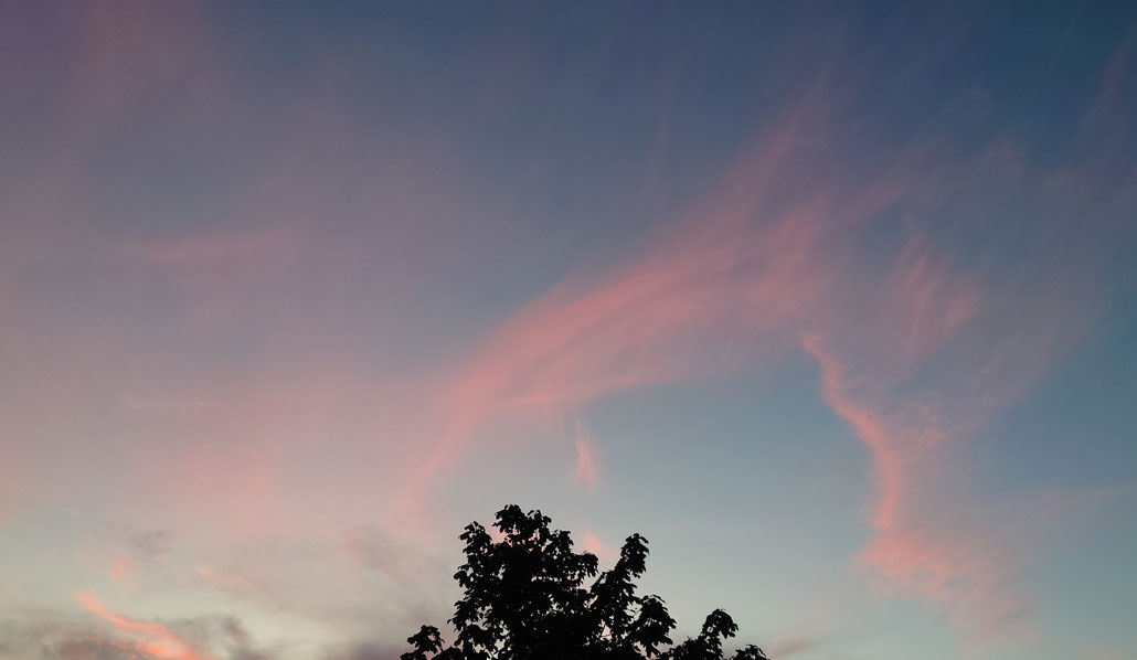 Trauerreden zum Abschied - Auf das Leben - Für mehr Leichtigkeit in schweren Zeiten - Abendlicht - Zarte rosa Wolken über dunkler Baumkrone