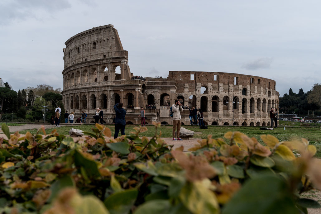 After finishing the Colosseum we went to Forum Romanum and had a very nice last view of this stunning masterpiece of imperial Rome.