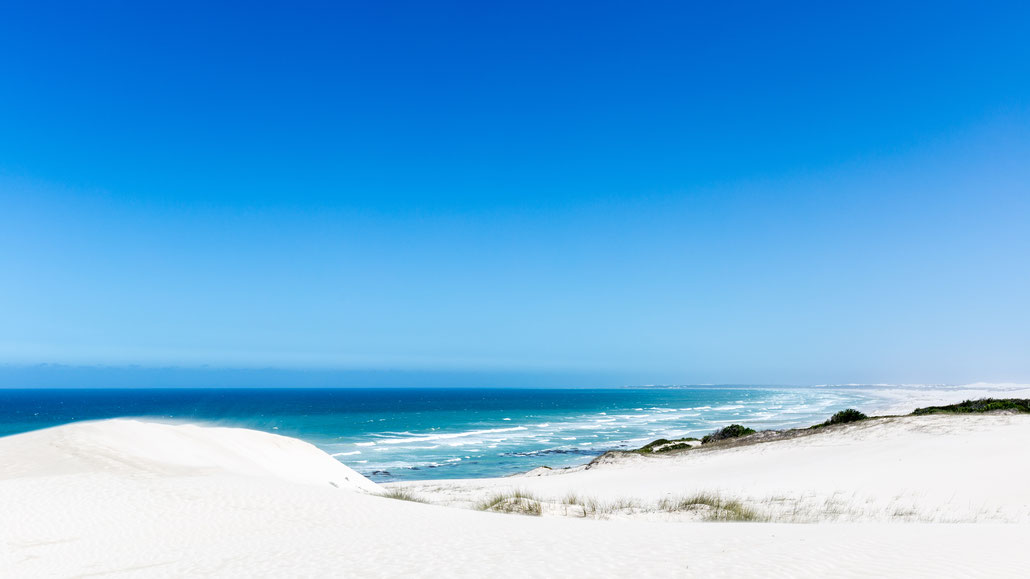 Landscape wildlife of De Hoop Nature Reserve - Jens Assmann Photography