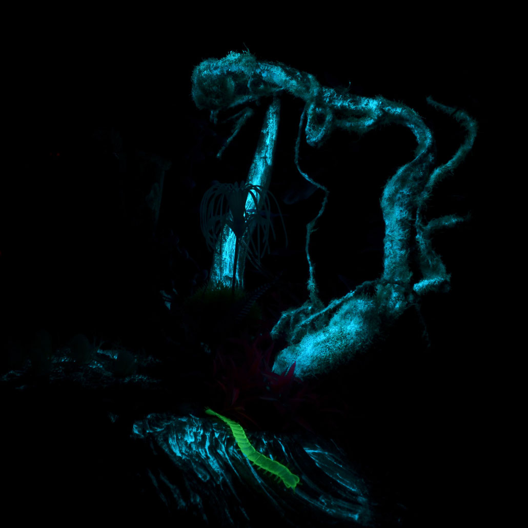 Avatar Pandora Diorama glow in the dark