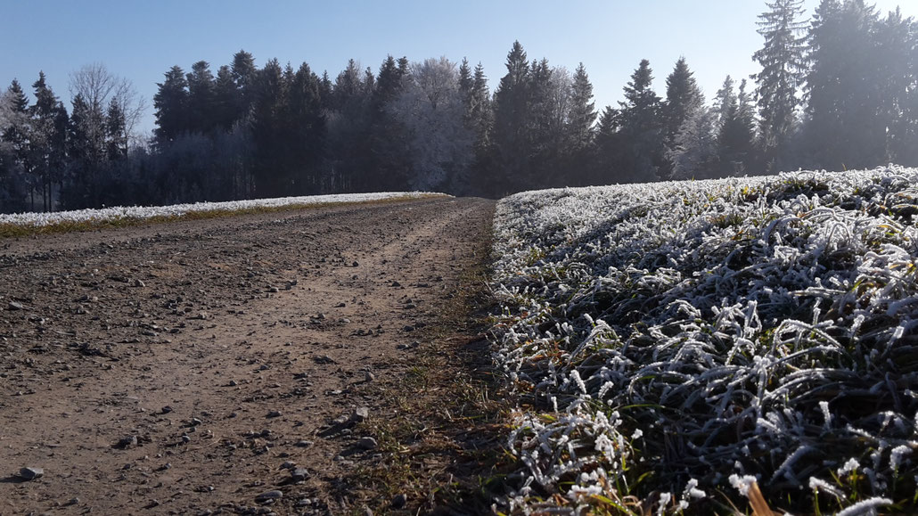 Der Weg ins 2017