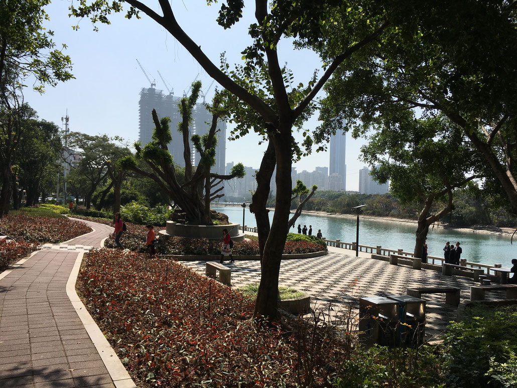 Xiamen - eine schöne und moderne Stadt 12 Flugstunden von der Schweiz