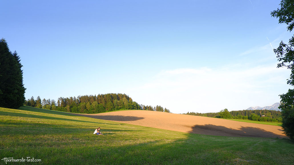 frischgemähtes Feld, Feld, Abendlicht