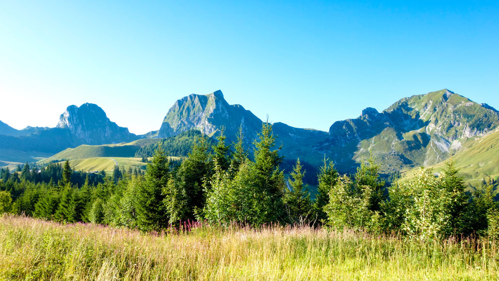 Nüneneflue - Gantrisch - Bürgle - Ochse