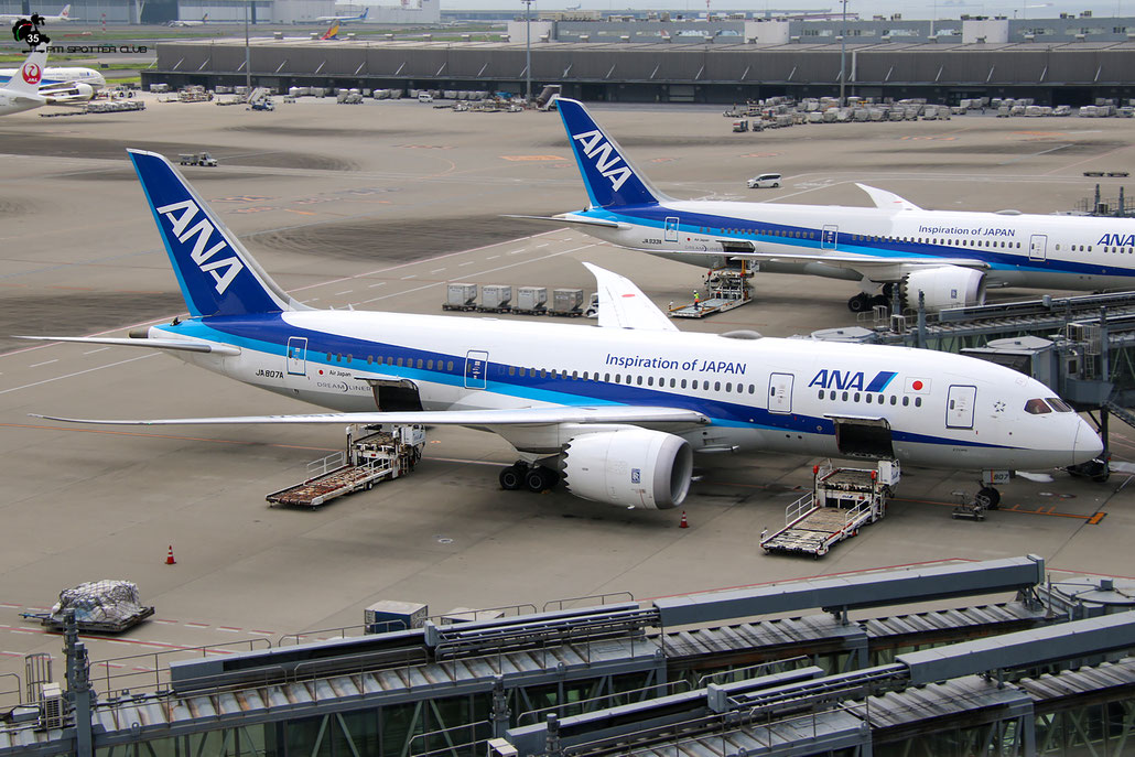 JA807A B787-8 34508/41 ANA - All Nippon Airways @ Tokyo Haneda 07.2023 © Piti Spotter Club Verona