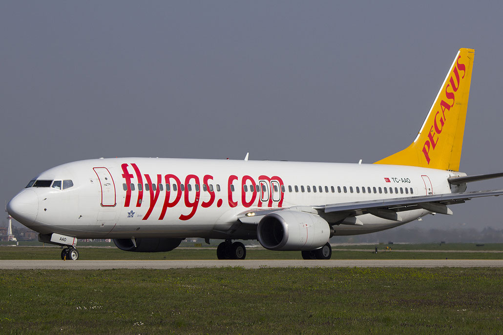 TC-AAO B737-86N 28619/534 Pegasus Airlines @ Bologna Airport 14.04.2014 © Piti Spotter Club Verona