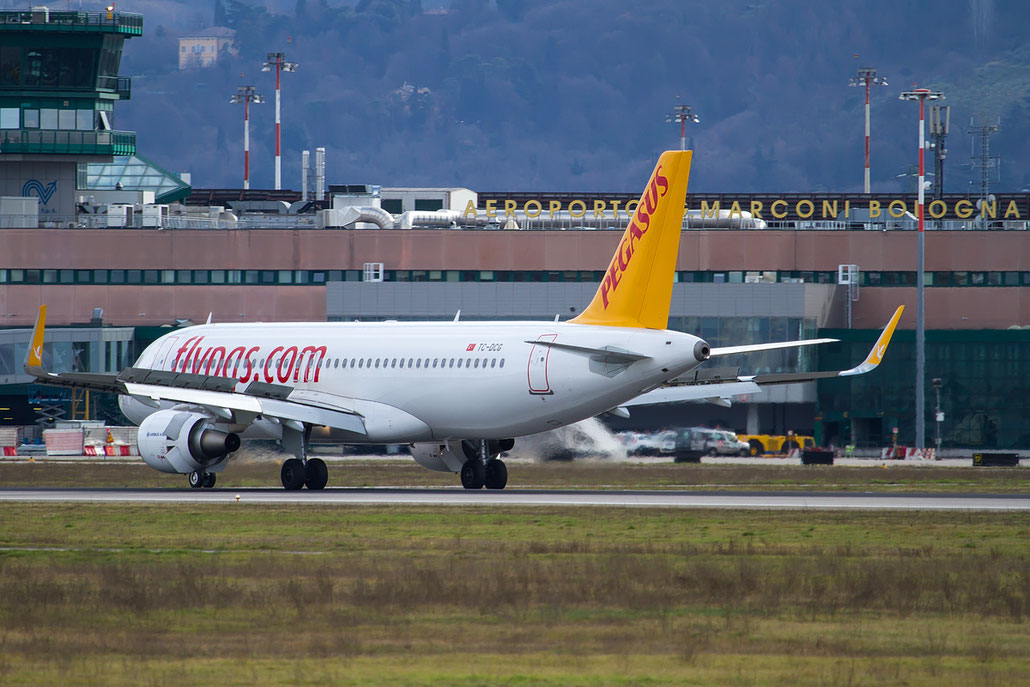 TC-DCG A320-214 6597 Pegasus Airlines @ Bologna Airport 12.02.2016 © Piti Spotter Club Verona