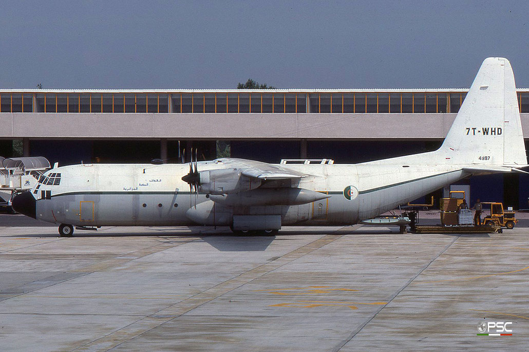 7T-WHD C-130H-30 4987 2 ETTL © 2017 courtesy of Marco Ceschi - Piti Spotter Club Verona