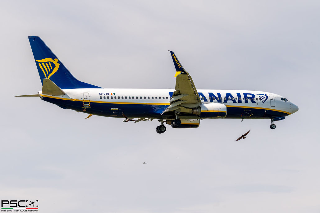 EI-DYD Boeing 737-8AS 33632 2544 cfm56-7B24  Ryanair 2008  @ Verona Villafranca 04 2026 © Piti Spotter Club Verona