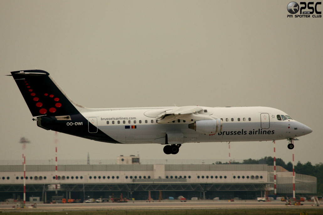 OO-DWI BAe146-RJ100 E3342 Brussels Airlines @ Milano Malpensa 04.10.2013 © Piti Spotter Club Verona