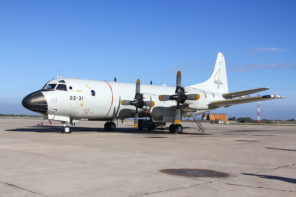 P.3M-08  22-31  P-3M  5264  Grupo 22 © Piti Spotter Club Verona 