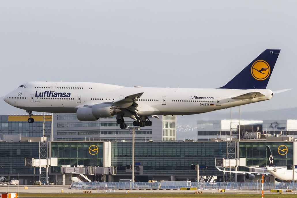 D-ABYA B747-830 37827/1443 Lufthansa @ Frankfurt Airport  08.05.2015 © Piti Spotter Club Verona