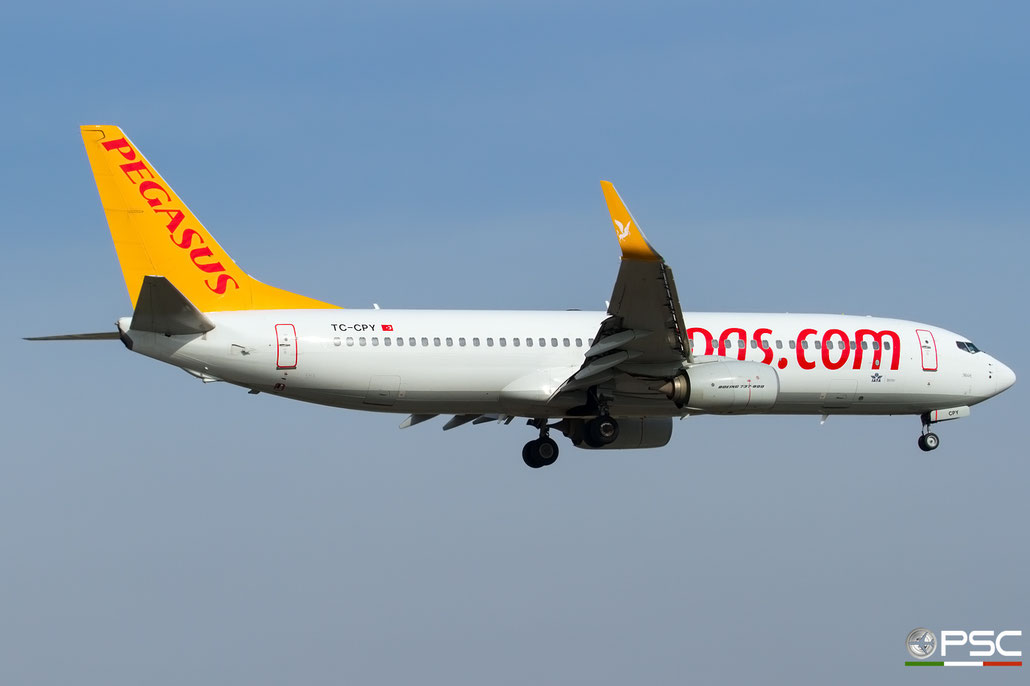TC-CPY B737-8H6 41767/5615 Pegasus Airlines @ Bologna Airport 11.2017 © Piti Spotter Club Verona