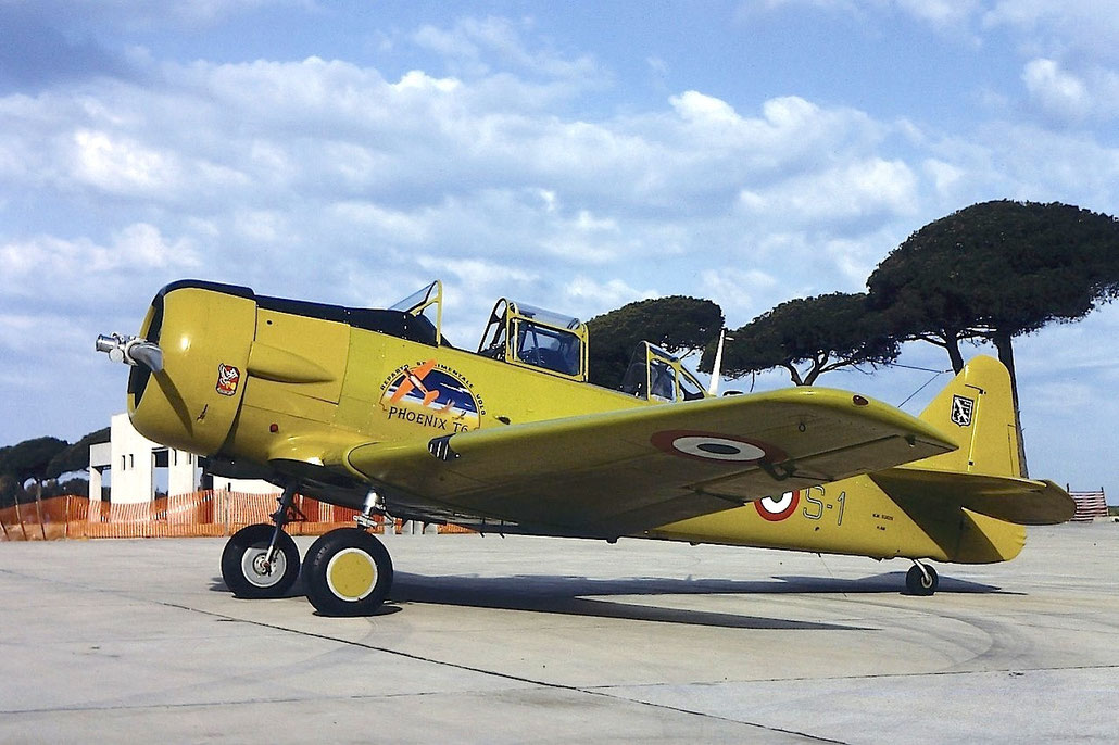 © Maurizio Cristofoli - Piti Spotter Club Verona