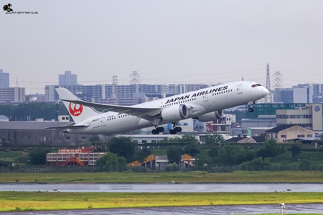 JA847J B787-8 35436/939 Japan Airlines International @ Osaka Itami 07.2023 © Piti Spotter Club Verona