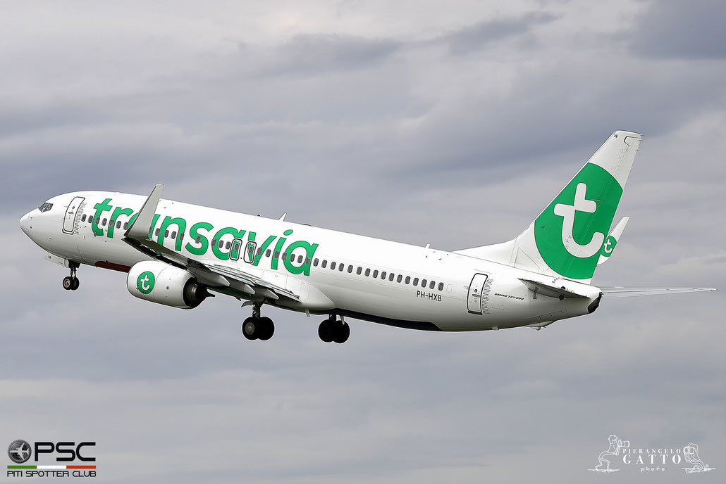 PH-HXB B737-8K2 41340/5811 Transavia Airlines @ Aeroporto di Verona 13.06.2018  © Piti Spotter Club Verona