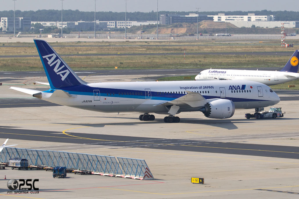JA828A B787-8 42248/140 ANA - All Nippon Airways @ Frankfurt Airport 25.07.2014 © Piti Spotter Club Verona