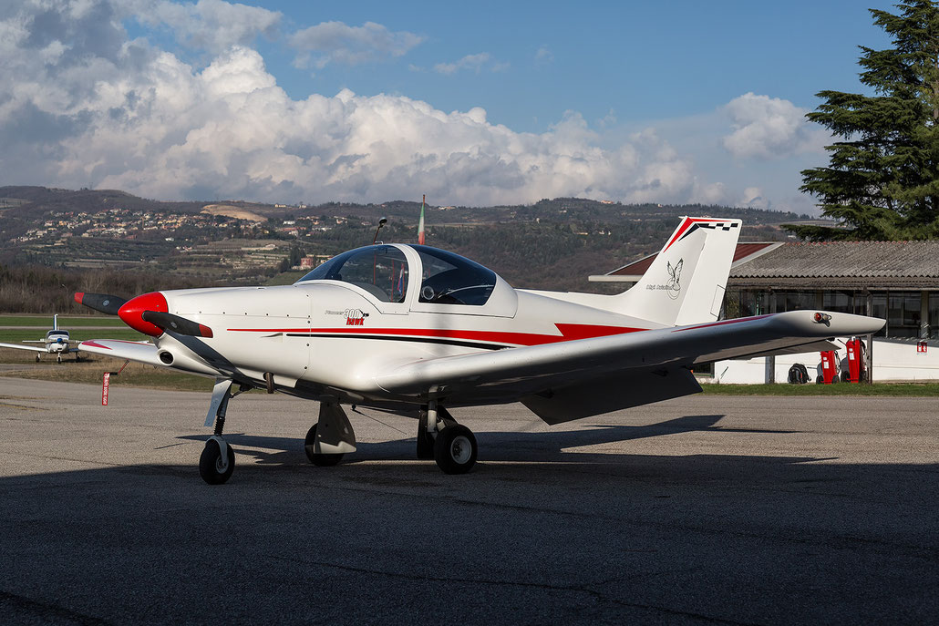 I-8798 -  Pioneer 300 Hawk