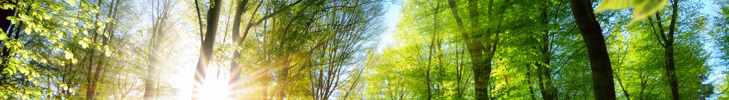 Karin Neidhart - Systemisches Training, Supervision, Coaching, Consulting & Beratung