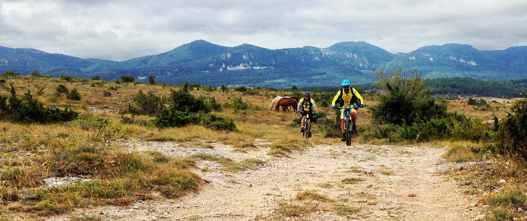 Ronde VTT des 3 Quilles - Plateau de Bouichet