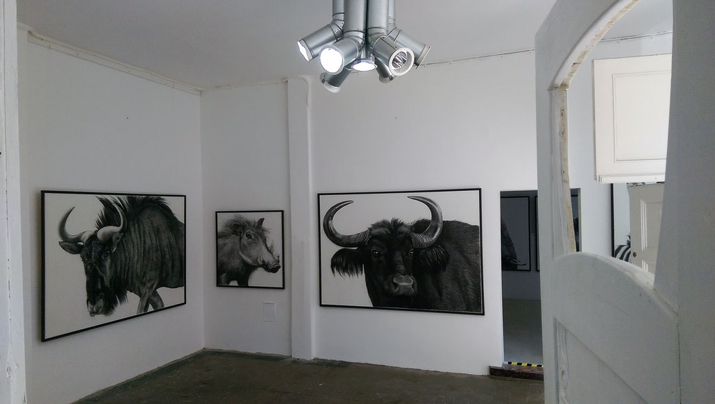 Blick in die VILLA ARTIS bei der Ausstellung HERBERT SIEMANDEL-FELDMANN "Tiere zeichnen" Kohle auf Leinwand