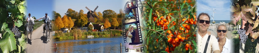 Bluten Therme Havel Therme Unsere Werder Website