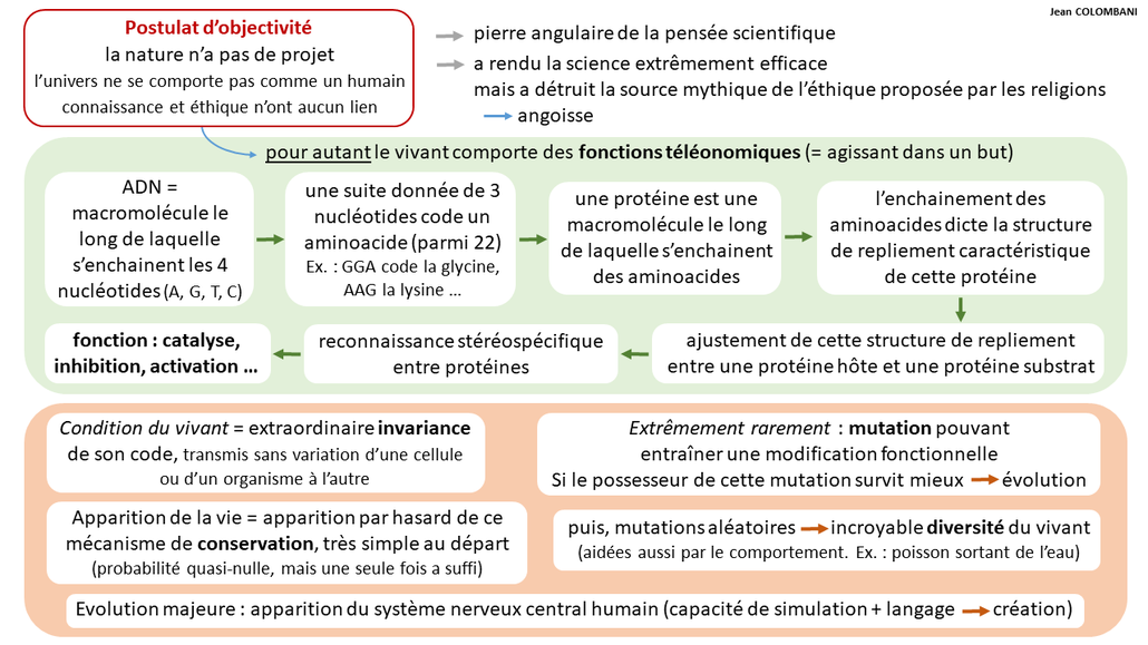 Diagramme réalisé par Jean Colombani