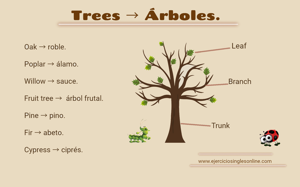 vocabulario árboles en íngles