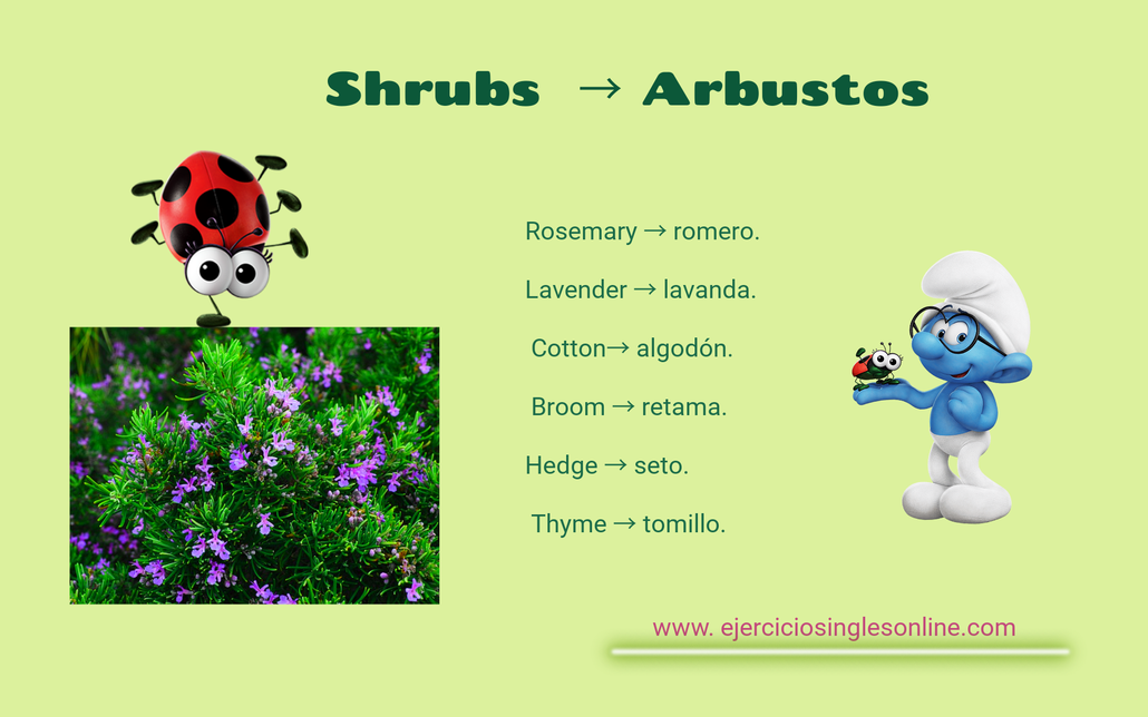 Vocabulario primavera en inglés Ejercicios inglés online