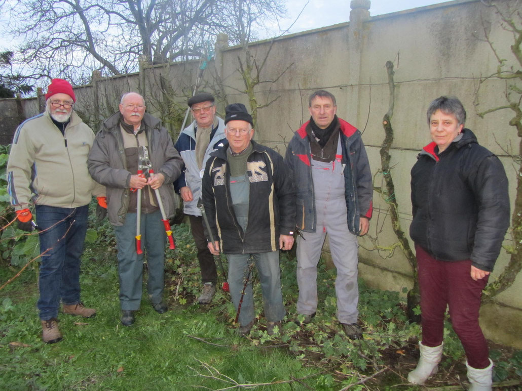 Première taille de l'année à Avenay