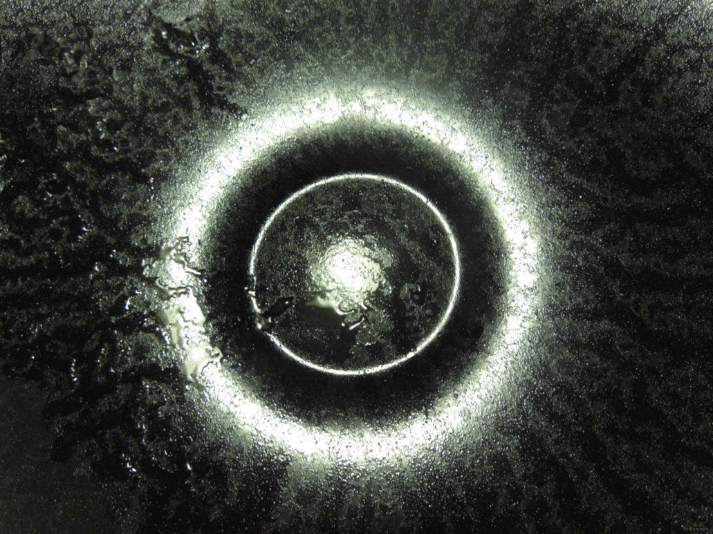 title : " IN - TRA - UL - TRO " _________________________________________________C-print on Dibond  120 / 90 cm