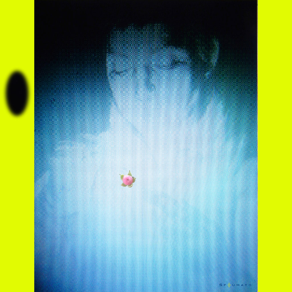 title :  " Rose Bud Boy "______________________________________________________________________C-print on Dibond  60 / 60 cm