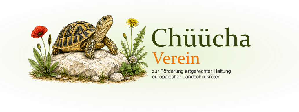 chuechas Webseite!