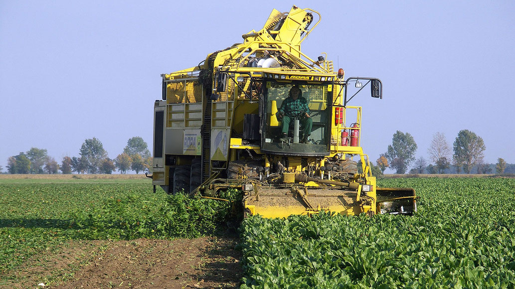 Foto: Pfeifer & Langen GmbH & Co. KG