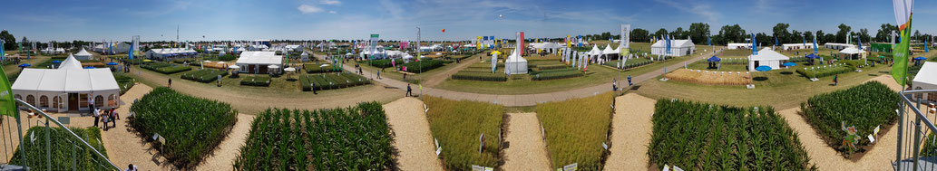 DLG-Feldtage in Bernburg 2018 - Panorama