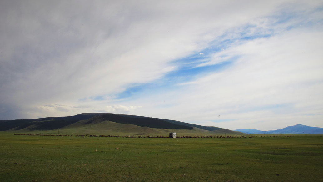 bigousteppes mongolie troupeau lac blanc camion mercedes