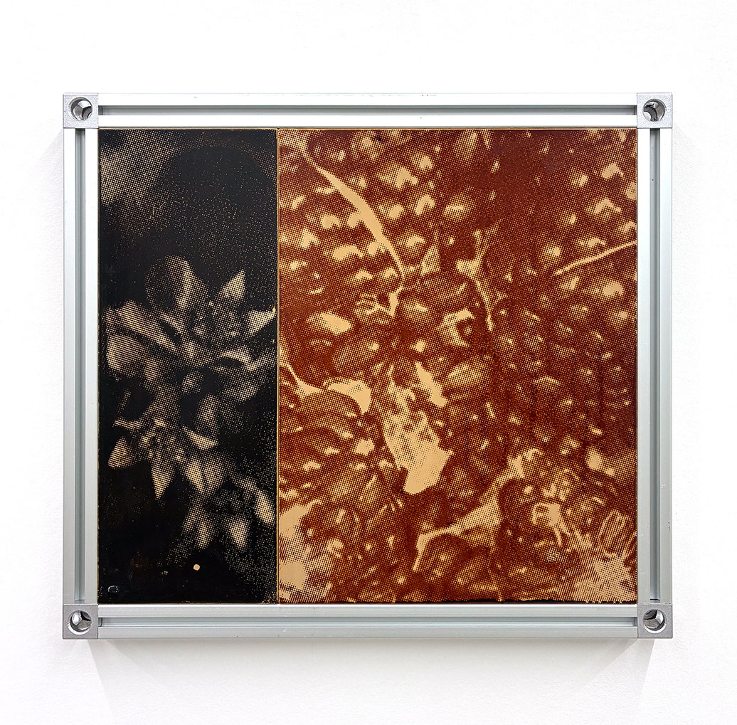 Halftone #51 −Pomegranate− | 2025 | 46 x 51.1cm | urushi on wooden panel and aluminum-frame