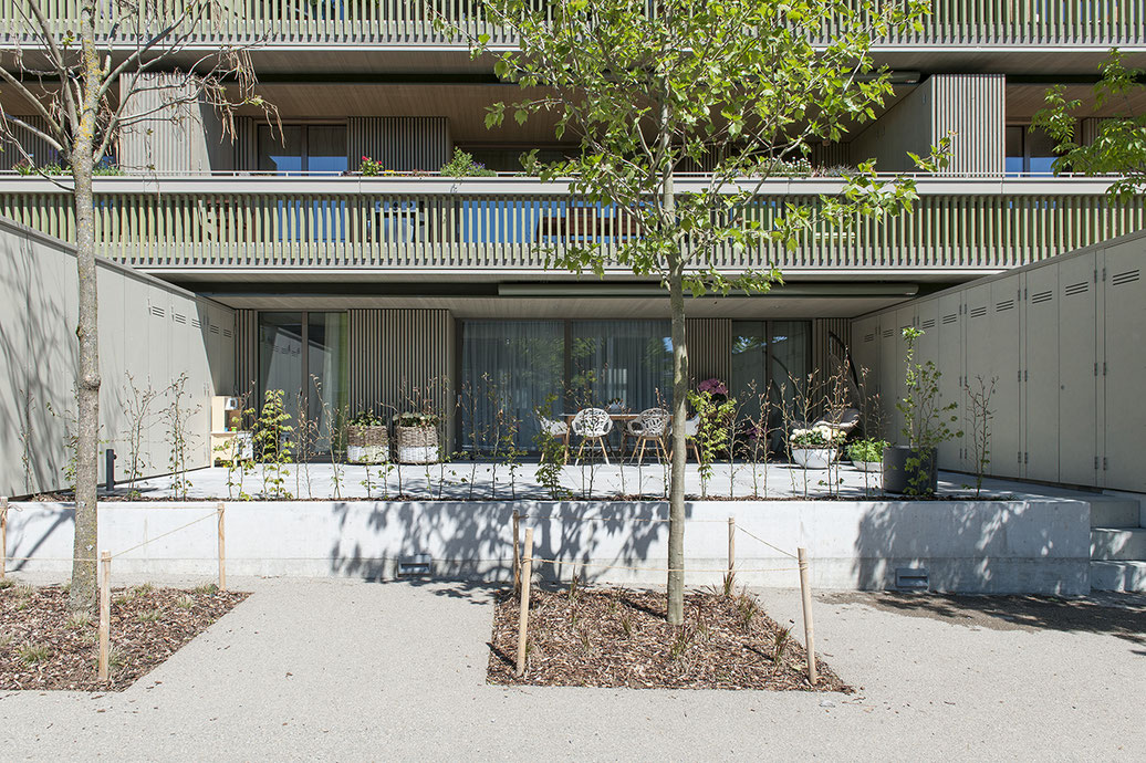 Kunst am Bau - Angelika Walthert