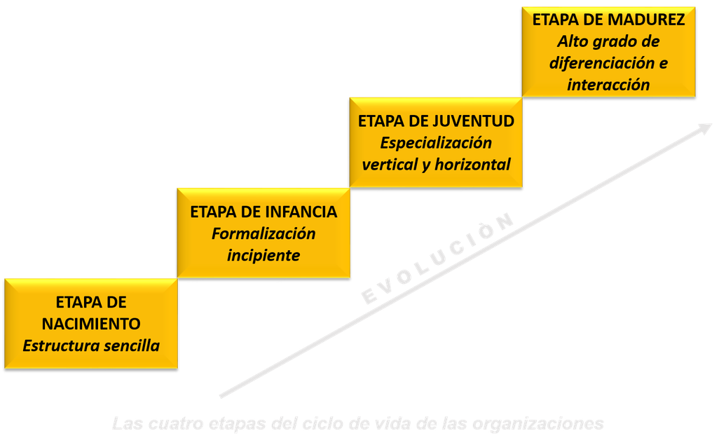 Proceso Administrativo - ORGANIZACIÒN - Página web de