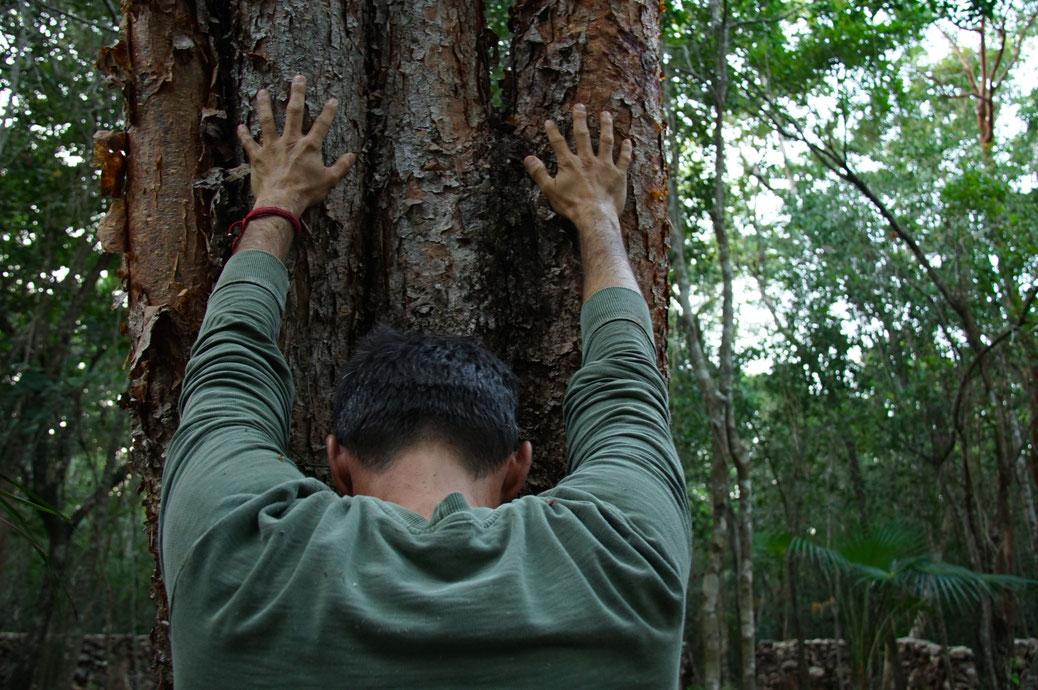 Tulum Riviera Maya Mexico Sustainable Real Estate Eco Homes Riviera