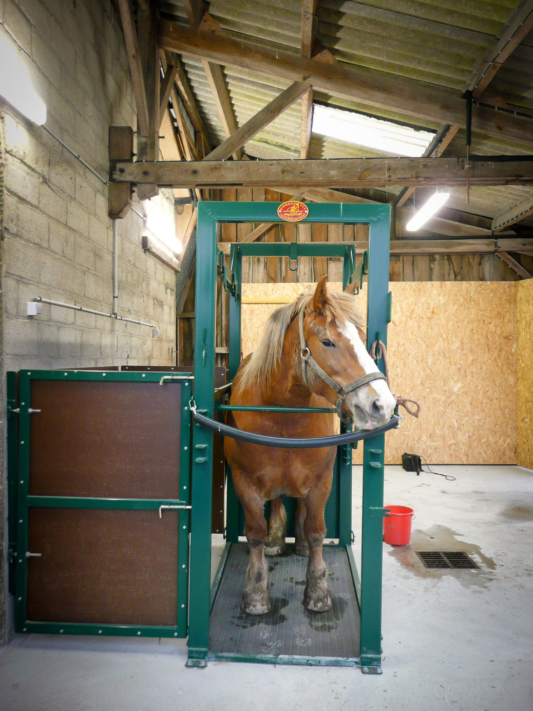 Site de Saint-Brice en Cogles - Clinique vétérinaire des ...