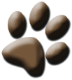 F-Litter 2024