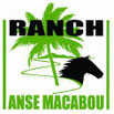 Le centre équestre Ranch Anse Macabou autour des restaurants du Vauclin Martinique 