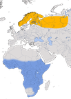 Karte zur Verbreitung der Nordische Schafstelze (Motacilla flava thunbergi)