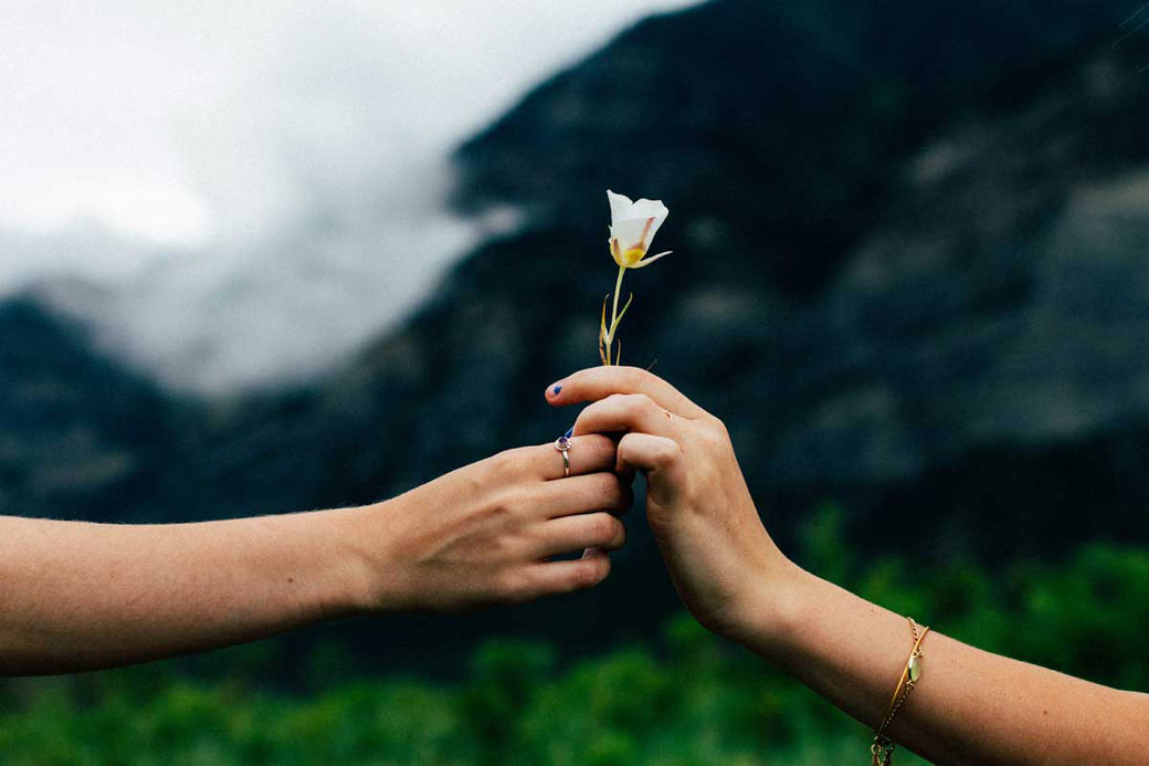Dankbarkeit Liebe Freundschaft Sinn Blume Glück Glückseligkeit Berge