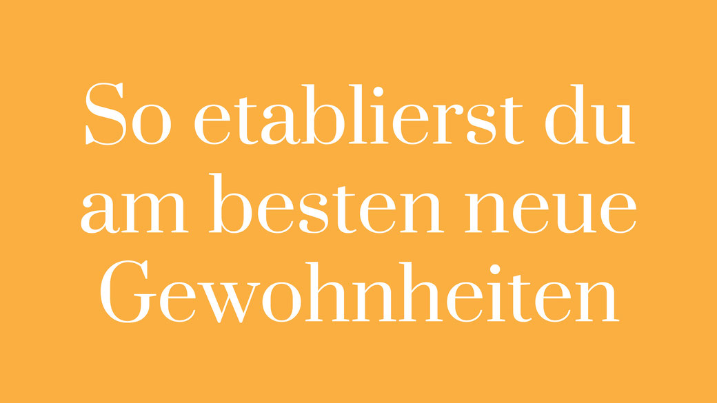 Podcast Systematiker Lisa Schröter Ziele Mut Gewohnheiten