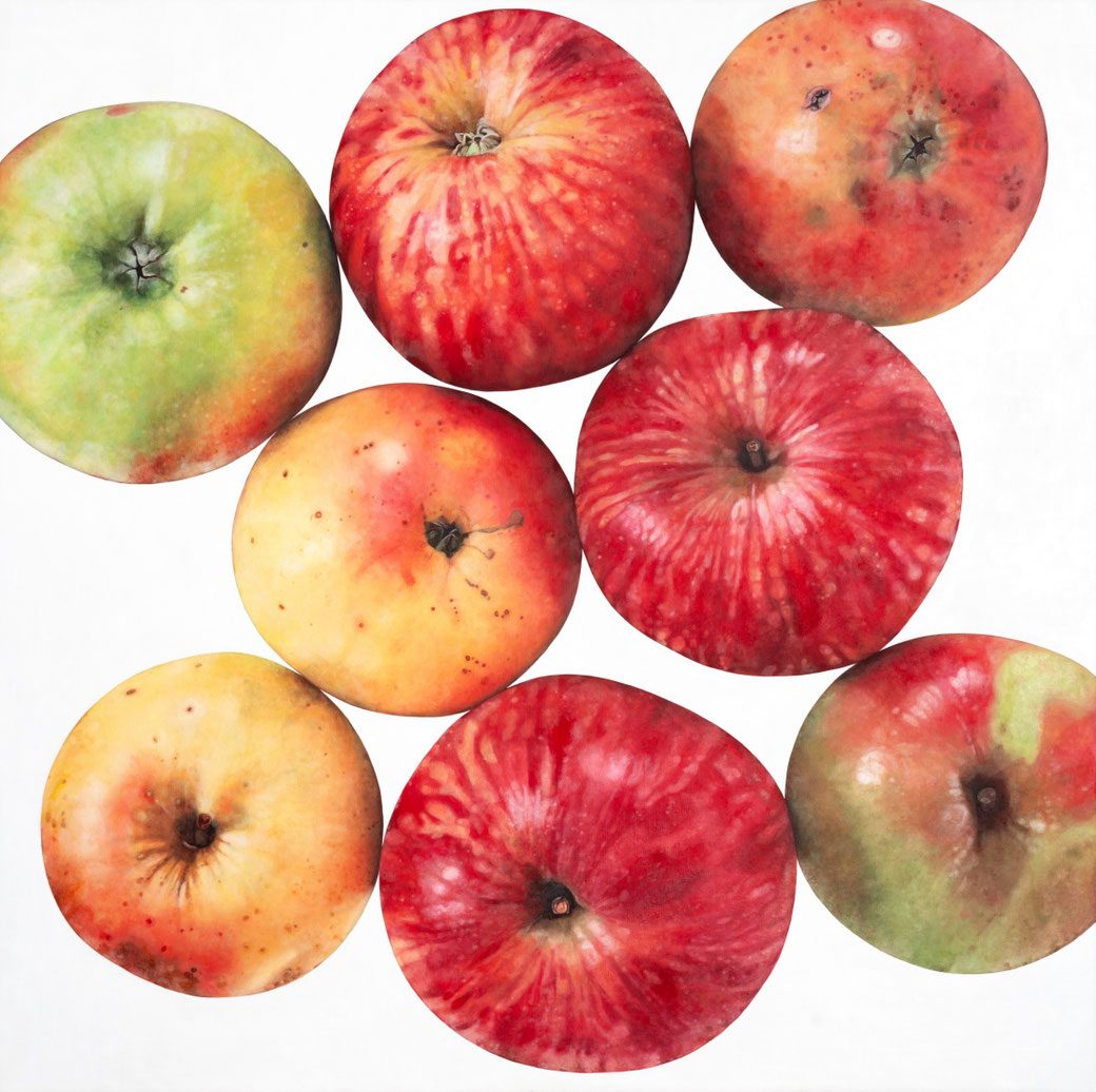 „Die Riedauer Äpfel” Malus domestica, Rosaceae, 2025, oil on linen   Copyright: Brigitte Hofherr